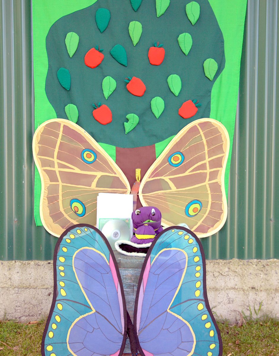 Caterpillar and Moth Set
